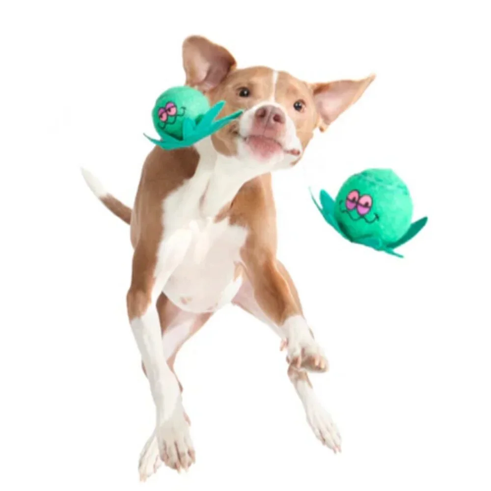 NWT Bark Box DOPE TENNIS BALLS Dog Toy 4/20 Bark Box Theme, Size L, Green